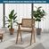 Cadeira Chandy Clara -2-